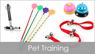 Pet Training