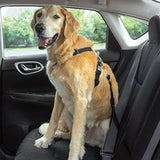 Dog Seat Belt for Car Set of 3 Dog Seatbelts with Elastic Bungee Buffer Adjustable Heavy Duty Pet Car Seat Belt Safety Leash