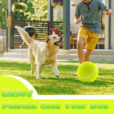 Giant Dog Tennis Ball 9.5in Yellow