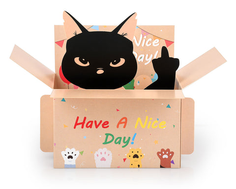 Middle Finger Cat Birthday Card 3D Pop Up Black Cat Birthday Card Funny Adult Birthday Cards for Women