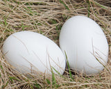 Easter Eggs 9 Pieces Blank White Wooden Eggs