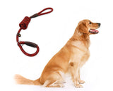 Dog Training Leash 6 Feet Dog Slip Lead Training Lead