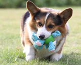 Plush Squeaky Dog Toys with Durable Chew Rubber Ball Body