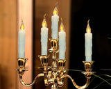 LED Window Candle Set of 6 Battery Operated Taper Candles