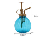 Water Spray Bottle 6'' Plant Mister