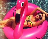 Giant Flamingo Inflatable Pool Float - Magenta