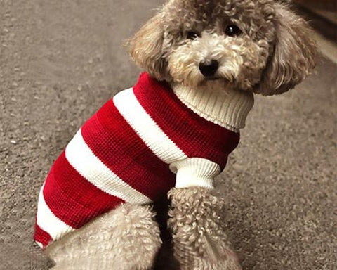 Pet Dog Costume Red Stripe Turtleneck Sweater - Small