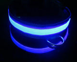 Bright Series Pet Dog Collar with LED Light