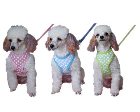 Dots Series Pet Dog Harness