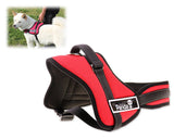 Canvas Series Pet Dog Harness for Outdoor Hiking Walking