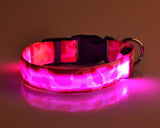 Camouflage Series Dog Collar with LED Light